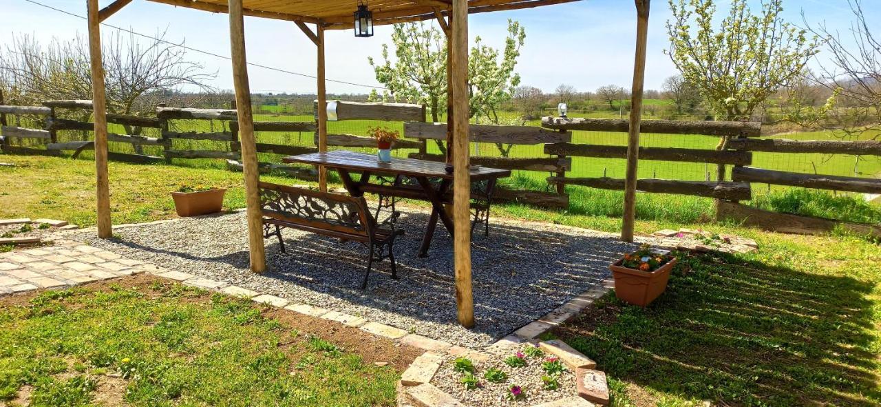 Casavacanze Pergolino, Appartamenti Ad Uso Esclusivo 阿夸彭登泰 外观 照片